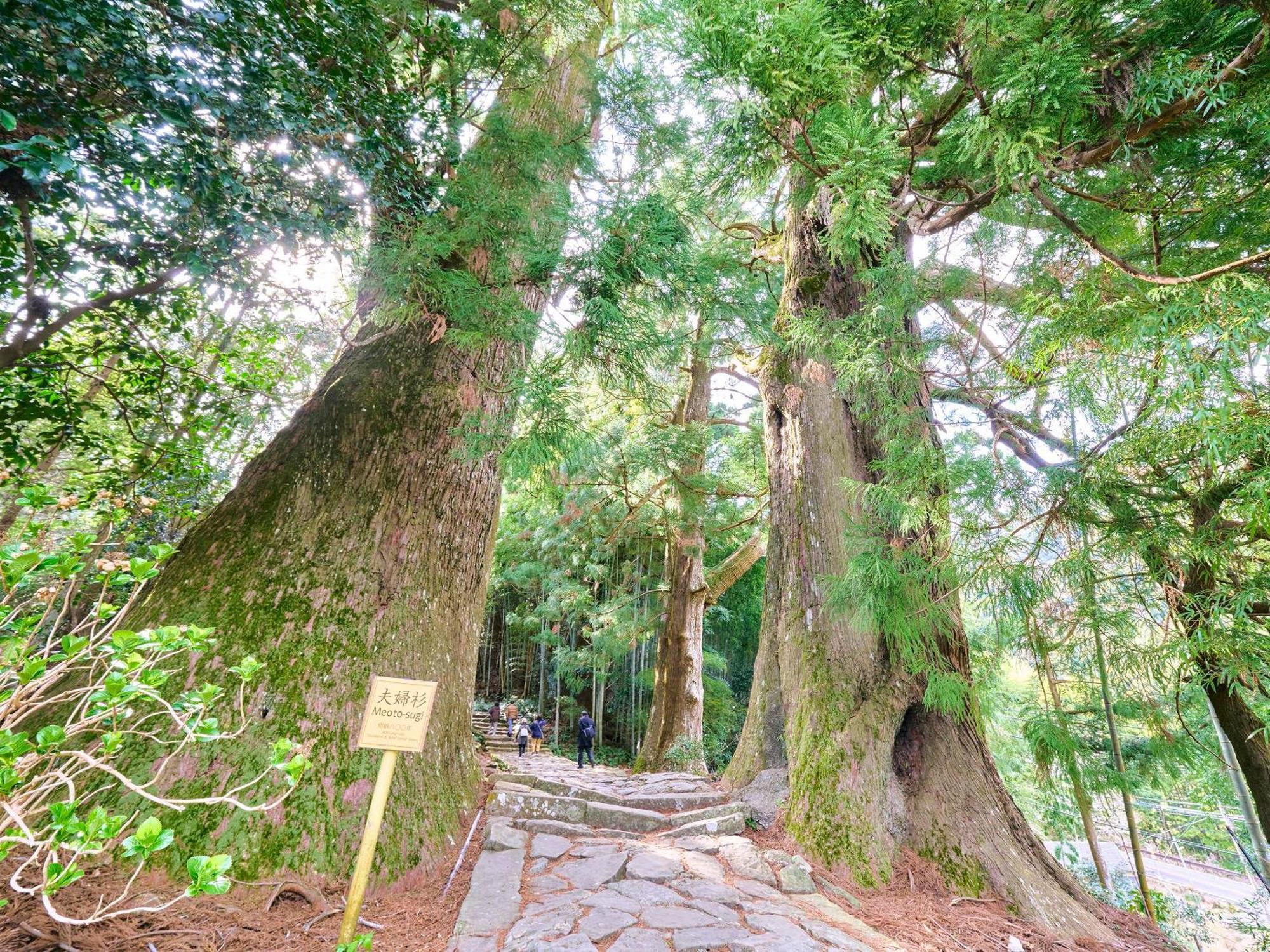 Kokoyui Guest House Nachikatsuura Dış mekan fotoğraf